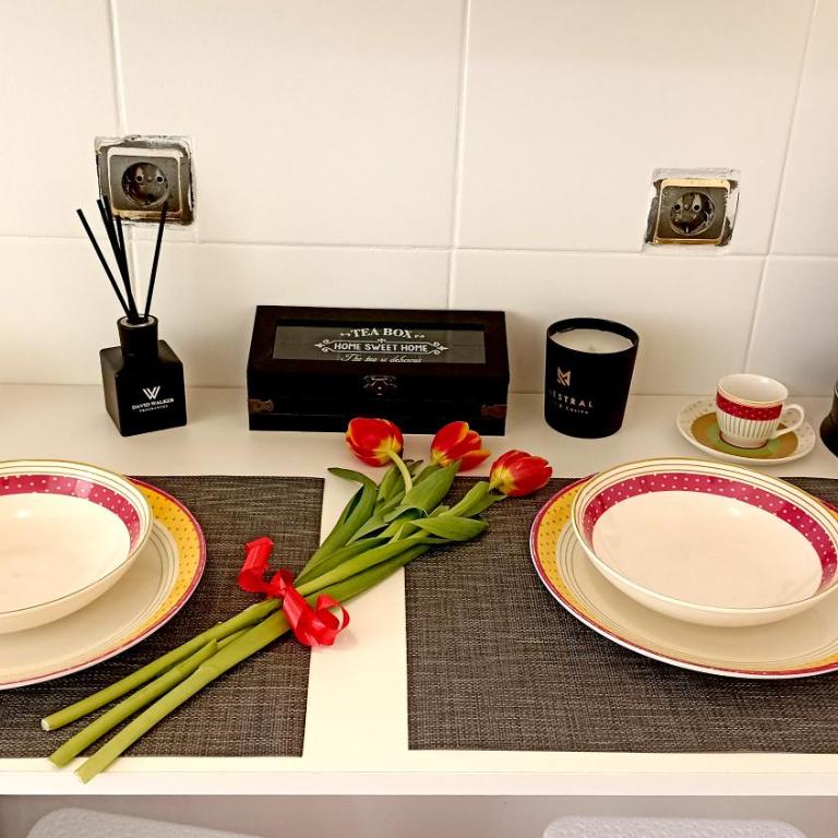 Apartment Centar - Apartman sa 1 Spavaćom Sobom - 22