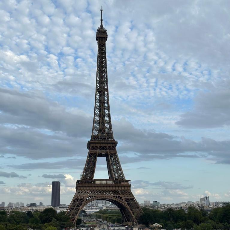 10 minutes walk from the beautiful Eiffel Tower - Appartement 1 Chambre - 10