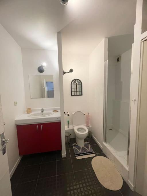 Toulouse Grand T2 Pont des Demoiselles - Apartment mit 1 Schlafzimmer - 14