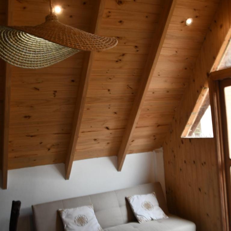 Cabaña Boutique Táva Home - Villa de 1 dormitorio - 30