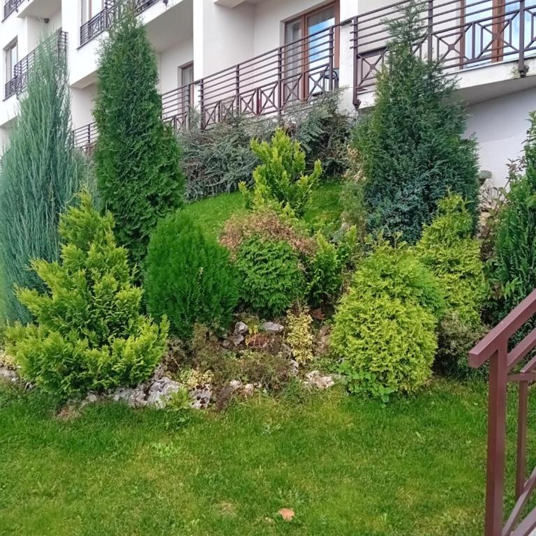 Studio Ristic Milmari L5 - Apartman sa 1 Spavaćom Sobom - 31