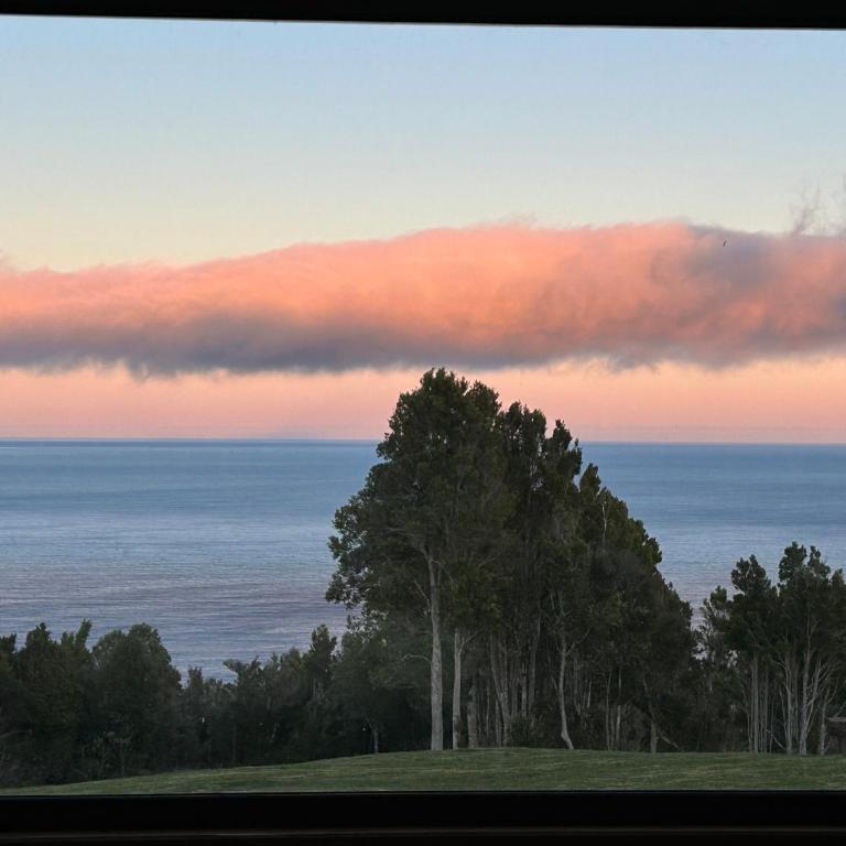 Moderna casa de campo con vista al mar a 20 minutos de Valdivia , Los Pellines - Casa de 2 dormitorios - 4