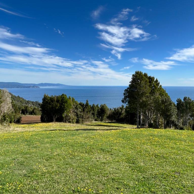Moderna casa de campo con vista al mar a 20 minutos de Valdivia , Los Pellines - Casa de 2 dormitorios - 2