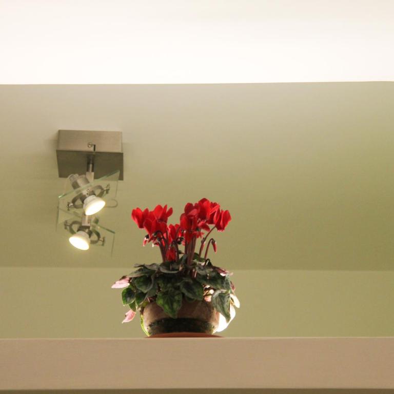 Maison Velia - Appartamento - 59