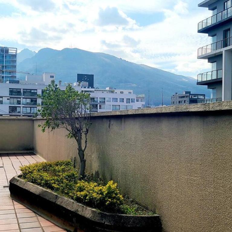 Suite en el corazón de Quito - Apartamento de 1 dormitorio - 7