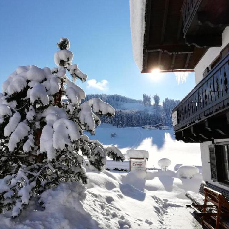Pension Sonneck - Doppelzimmer mit Bergblick - 23