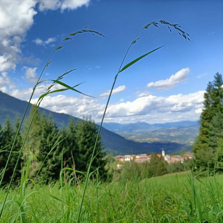 Mirabel Suite - Lovely Home - - Apartment mit 2 Schlafzimmern und Aussicht - 27