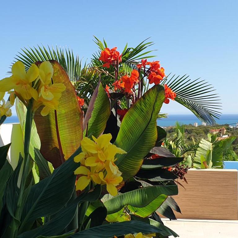 Happyplace Malaga - Villa with Panoramic Sea View Heated Infinity Saltwater Pool - Villa con vistas al mar - 4