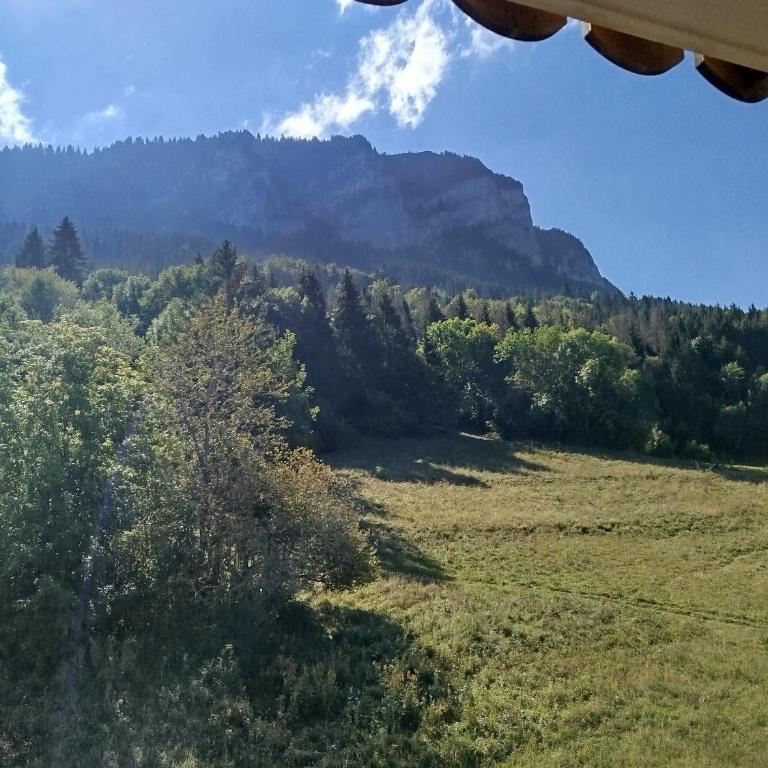 Le Telemark draps fournis et ménage - Appartement - 79