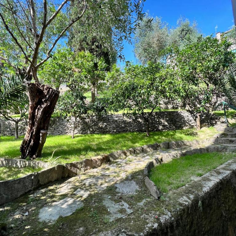 Blue Garden - Appartamento - 16