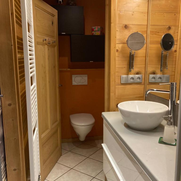 l'Echo des Glieres vue montagne centre village sauna & grill - Chalet - 30