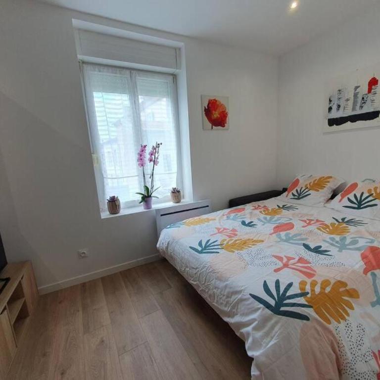 Appart'hôtel, IKIMO 5 appartements entiers à votre disposition au choix - Studio - 2
