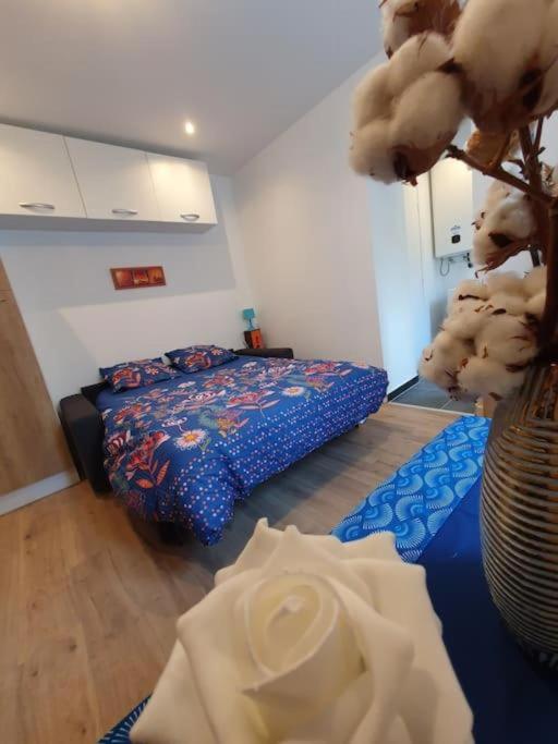 Appart'hôtel, IKIMO 5 appartements entiers à votre disposition au choix - Studio - 12