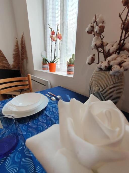 Appart'hôtel, IKIMO 5 appartements entiers à votre disposition au choix - Studio - 14
