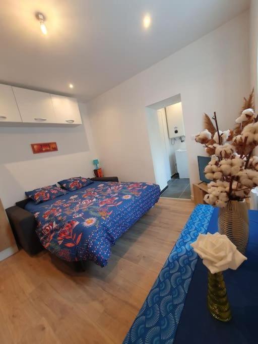 Appart'hôtel, IKIMO 5 appartements entiers à votre disposition au choix - Studio - 21
