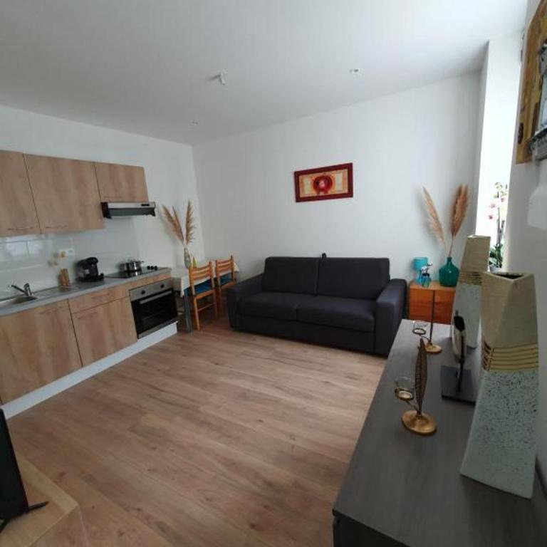 Appart'hôtel, IKIMO 5 appartements entiers à votre disposition au choix - Studio - 2