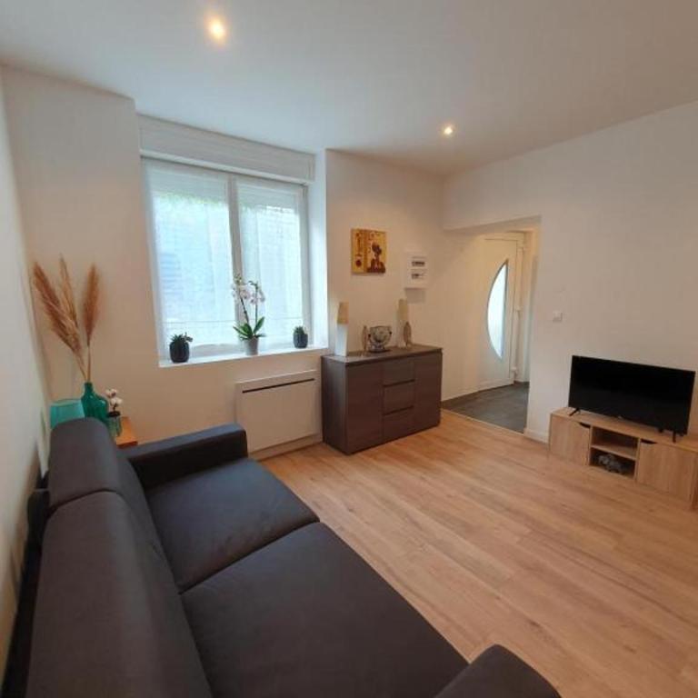 Appart'hôtel, IKIMO 5 appartements entiers à votre disposition au choix - Studio - 3