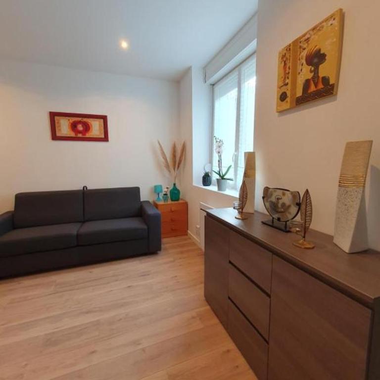 Appart'hôtel, IKIMO 5 appartements entiers à votre disposition au choix - Studio - 9