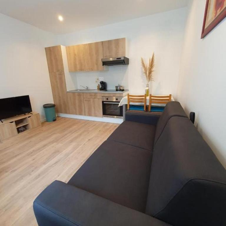 Appart'hôtel, IKIMO 5 appartements entiers à votre disposition au choix - Studio - 13