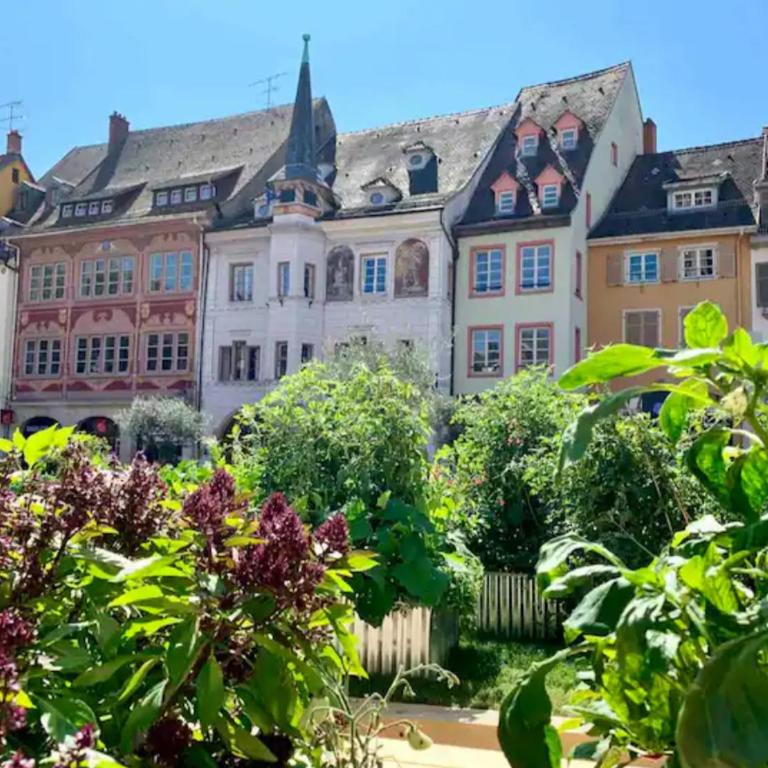 Les 6 Cordiers au coeur de ville - Apartamento de 2 dormitorios - 20