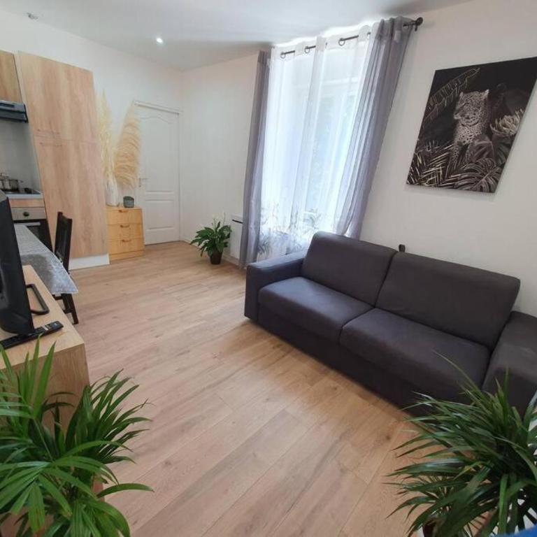 Appart'hôtel, IKIMO 5 appartements entiers à votre disposition au choix - Appartement 1 Chambre - 18