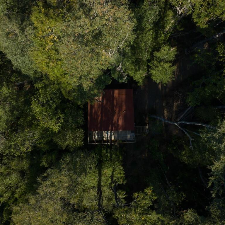 Hermoso Lodge Inserto en Bosque Andino Pucón - Apartamento de 1 dormitorio - 1
