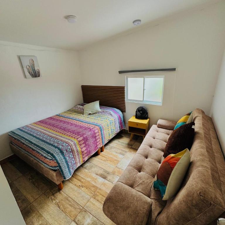 Apartahotel Arcoiris Salento - Apartamento de 3 dormitorios - 3
