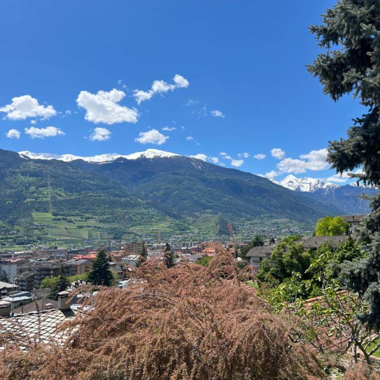 Les Oliviers - Villa con 3 Camere da Letto - 19