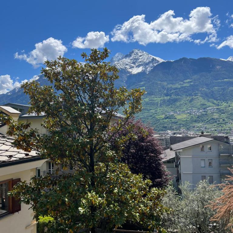 Les Oliviers - Villa con 3 Camere da Letto - 20