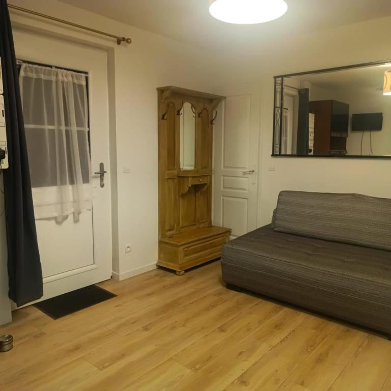Studio quartier hôpital et université - Studio with Sofa Bed - 2