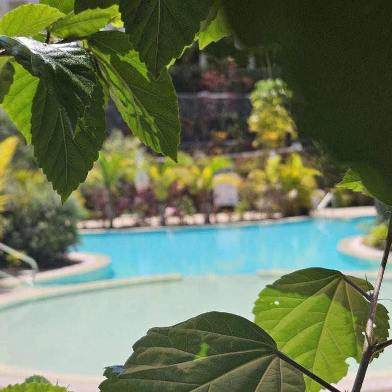 Crystal Luxury Holidays, El Palm Mar in Tenerife South - Apartamento de 1 dormitorio - 26