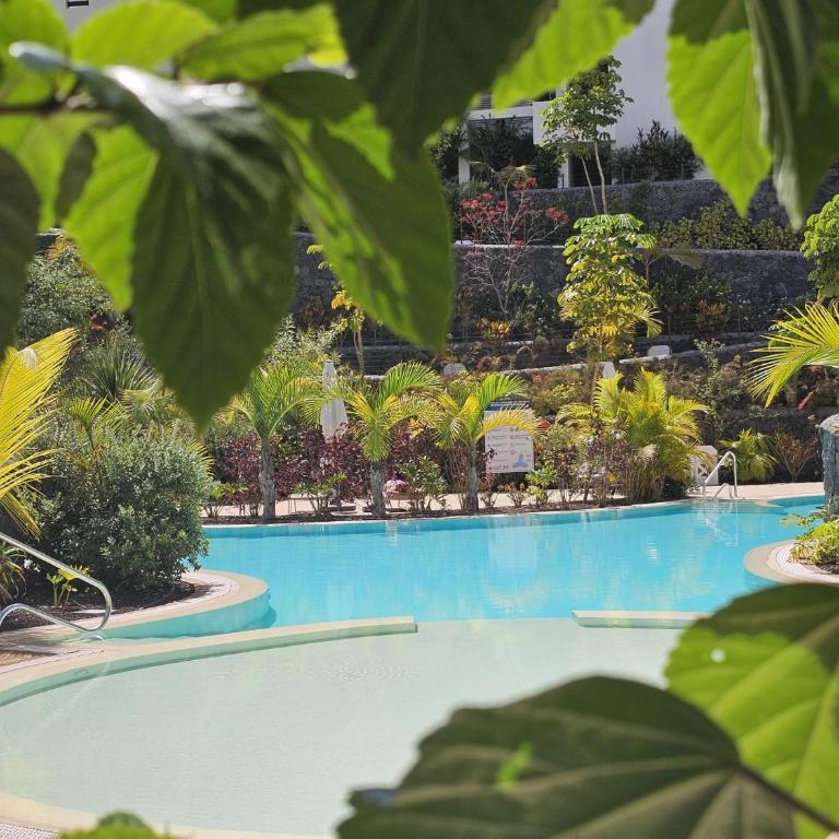 Crystal Luxury Holidays, El Palm Mar in Tenerife South - Apartamento de 1 dormitorio - 5