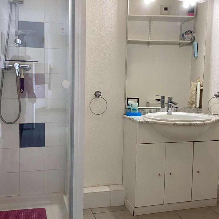 Appartement T2 confort avec garage et climatisation - FR-1-553-277 - Apartment - 8