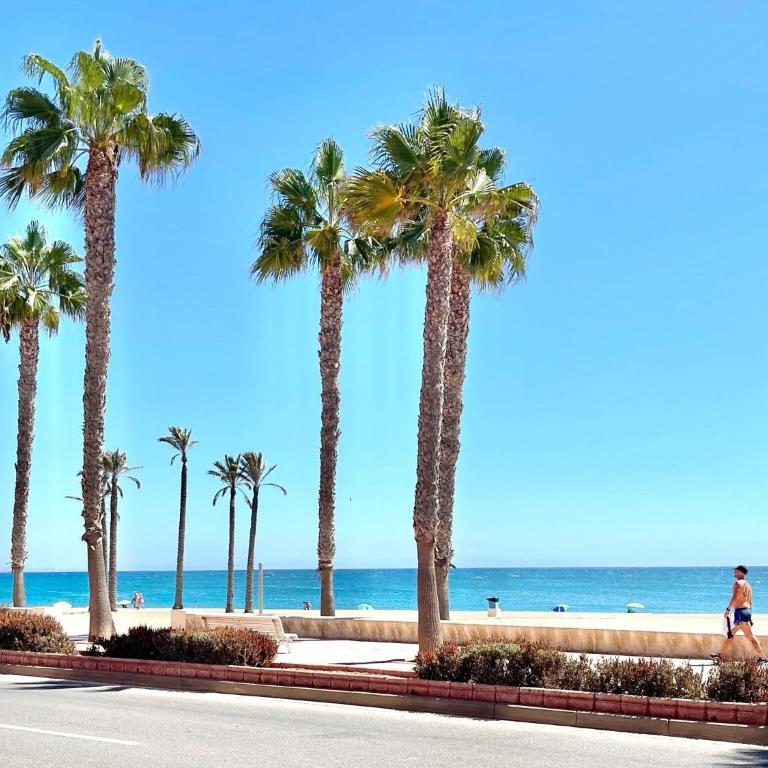 Apartment in Roquetas near Beaches - Three-Bedroom Apartment - 39