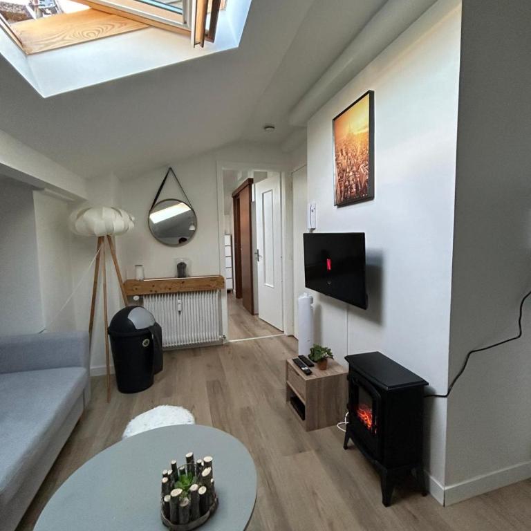 Superbe T2 meublé hyper centre - Appartement 1 Chambre - 1