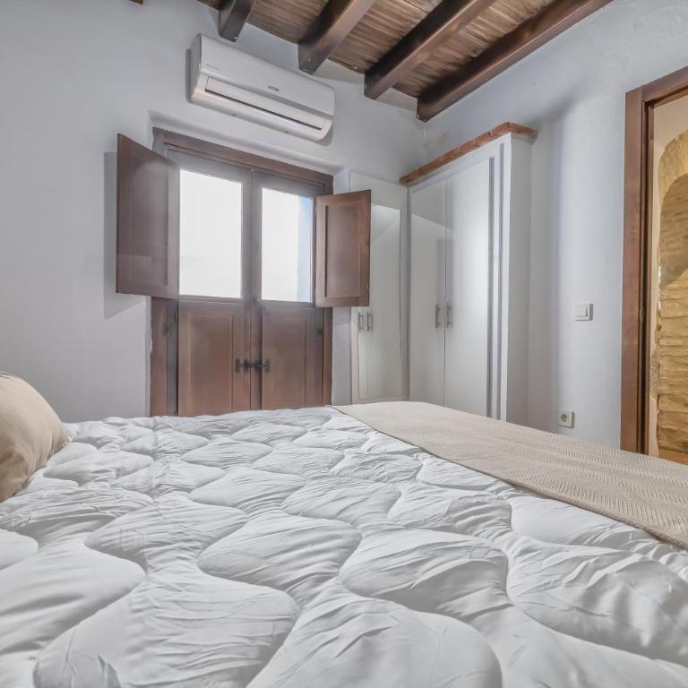 El Capricho de 1849 & Parking - One-Bedroom Apartment - 20