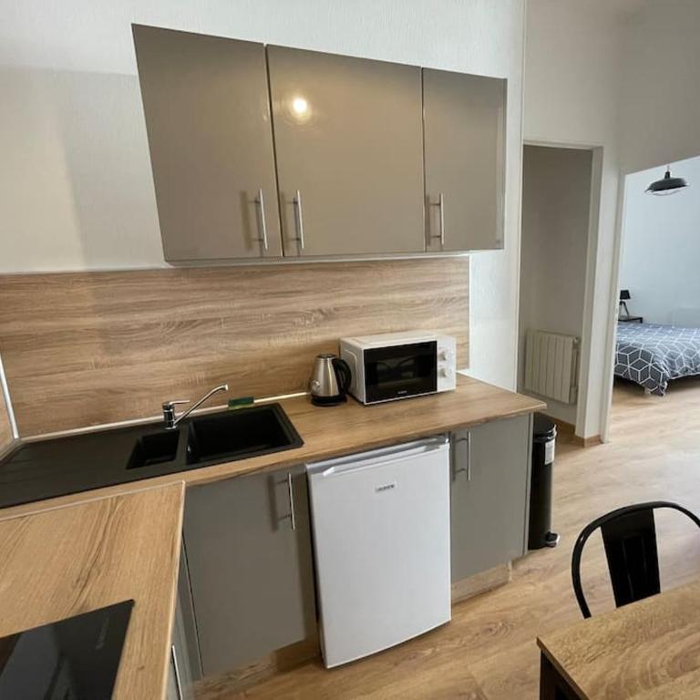 Bel appartement - Béziers - 4 pers - Balcon - Centre - IUT - Appartement 1 Chambre - 21