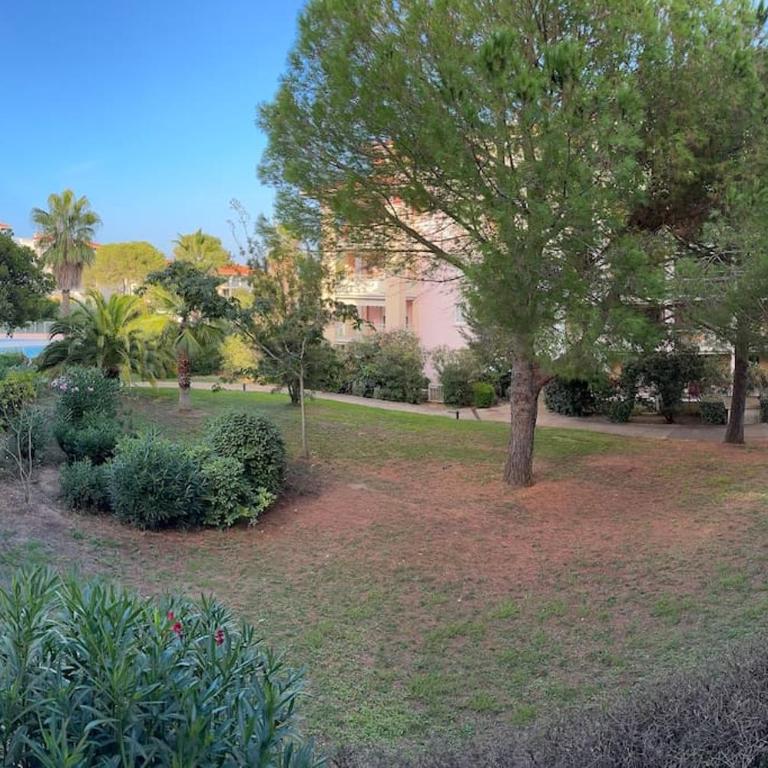 L éden mer et piscine appartement 53 m2 - One-Bedroom Apartment - 16