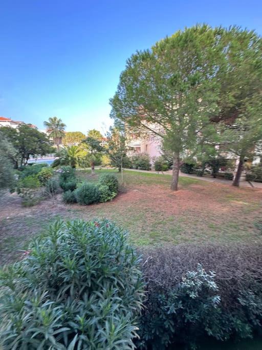 L éden mer et piscine appartement 53 m2 - One-Bedroom Apartment - 13
