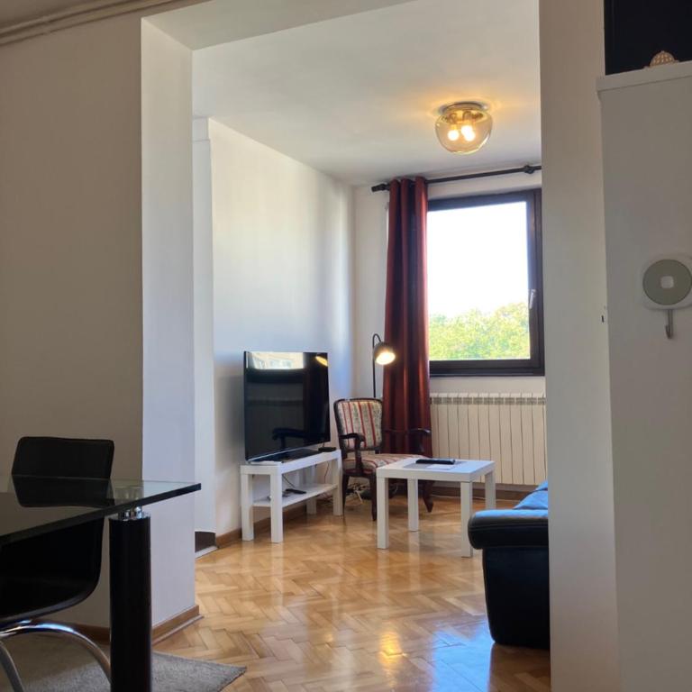 Njegoševa - Apartman sa 1 Spavaćom Sobom - 21