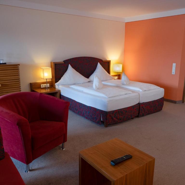 Hotel Geiger - Studio - 4