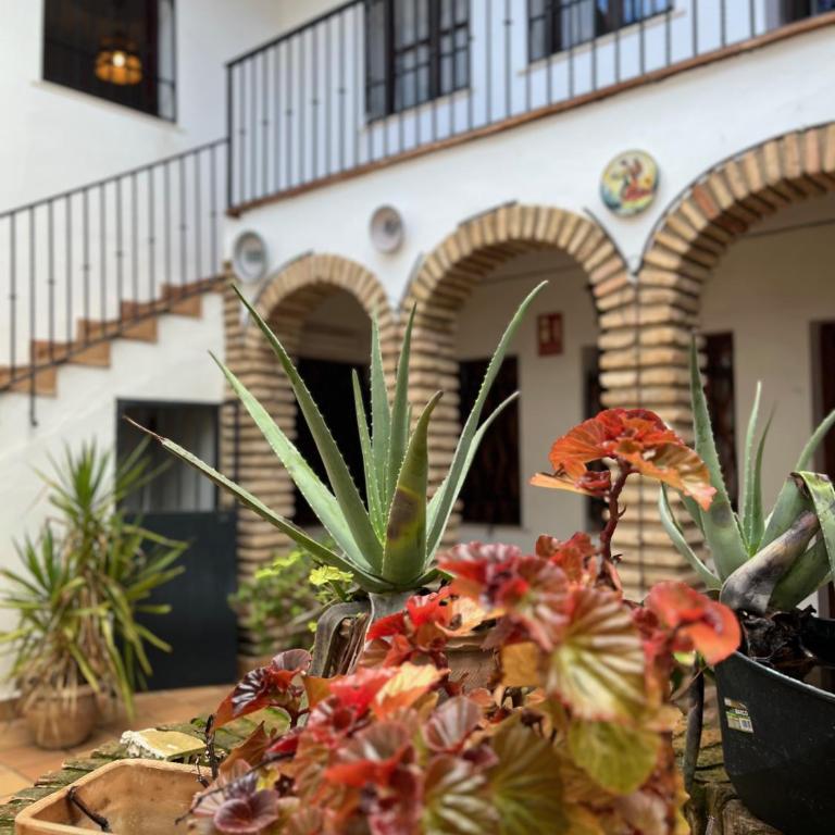 El Rincón del Pintor - Apartamento de 1 dormitorio - 41