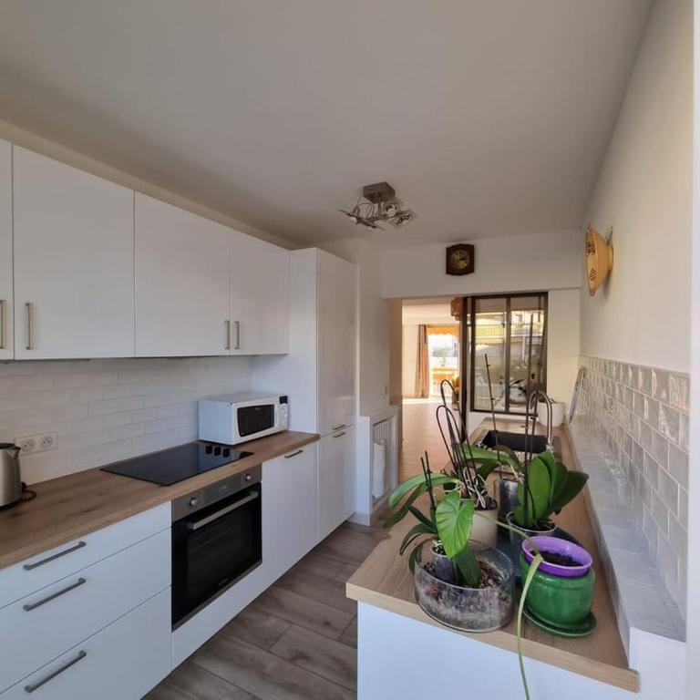 Magnifique T3, spacieux, lumineux et traversant - Apartamento - 10