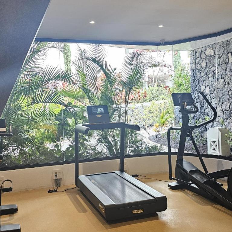 Crystal Luxury Holidays, El Palm Mar in Tenerife South - Apartamento de 1 dormitorio - 55