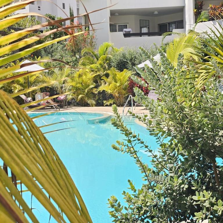 Crystal Luxury Holidays, El Palm Mar in Tenerife South - Apartamento de 1 dormitorio - 52
