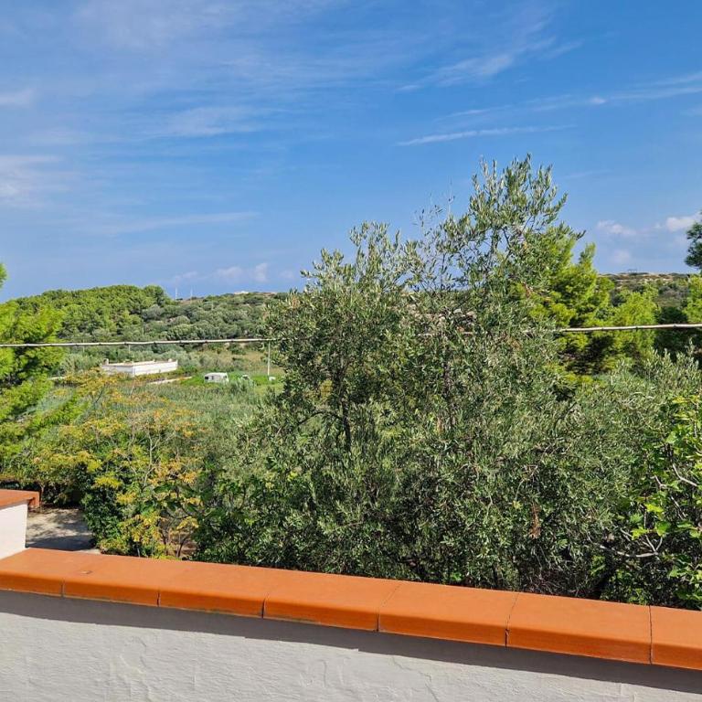 1 Bedroom Nice Home In Vieste - Casa Vacanze con 1 Camera da Letto - 3