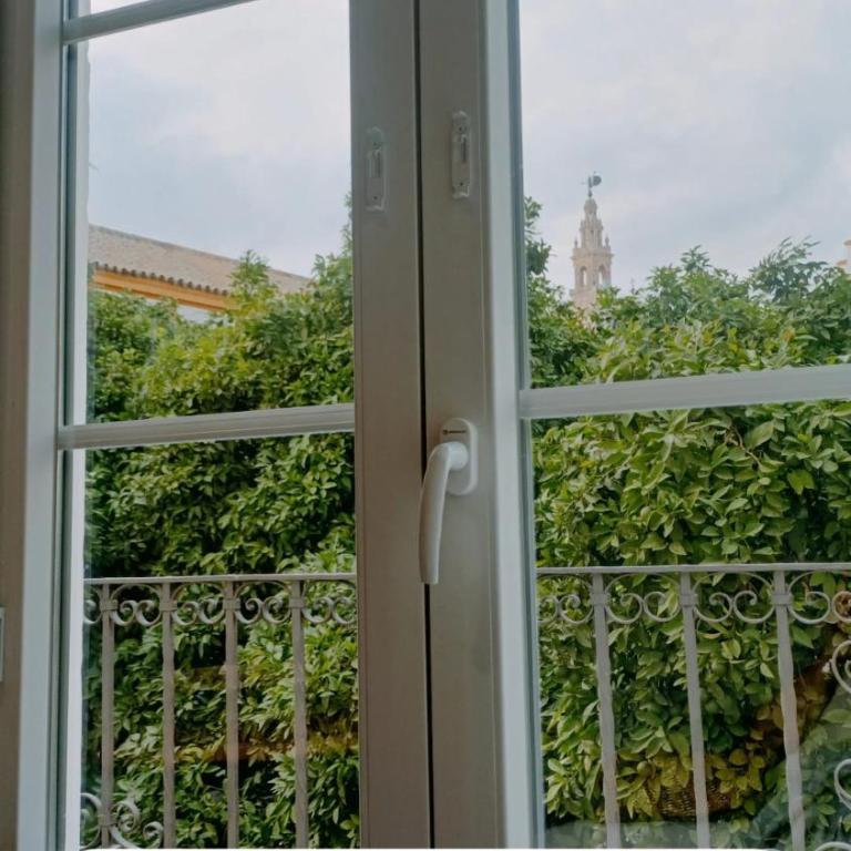 Apartamentos en la Plaza Doña Elvira, 7 - Apartamento de 2 dormitorios con vistas - 11
