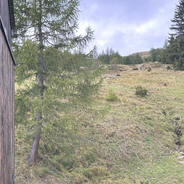 Chalet immerso nel verde - Two-Bedroom House - 19