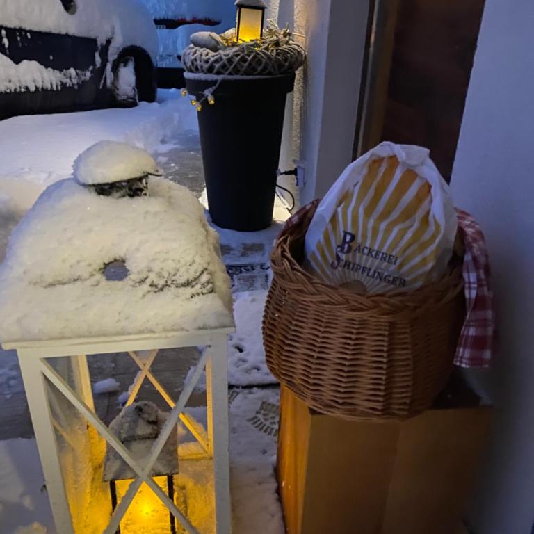Alpenblick - Apartment mit 1 Schlafzimmer - 35