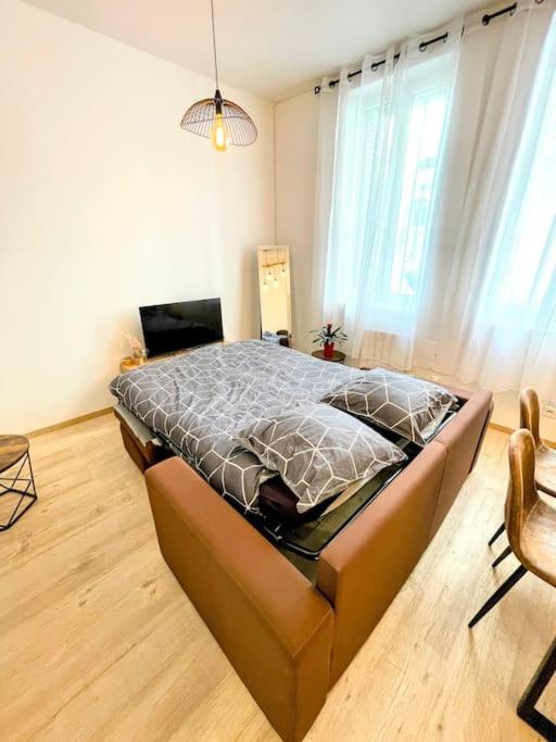 Bel appartement Béziers - Plain-pied - Centre - IUT - Appartement 1 Chambre - 5